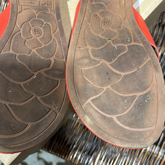 BORN IN CALIFORNIA SLIDES SUZE 9 1/2 - Picture 7 of 7